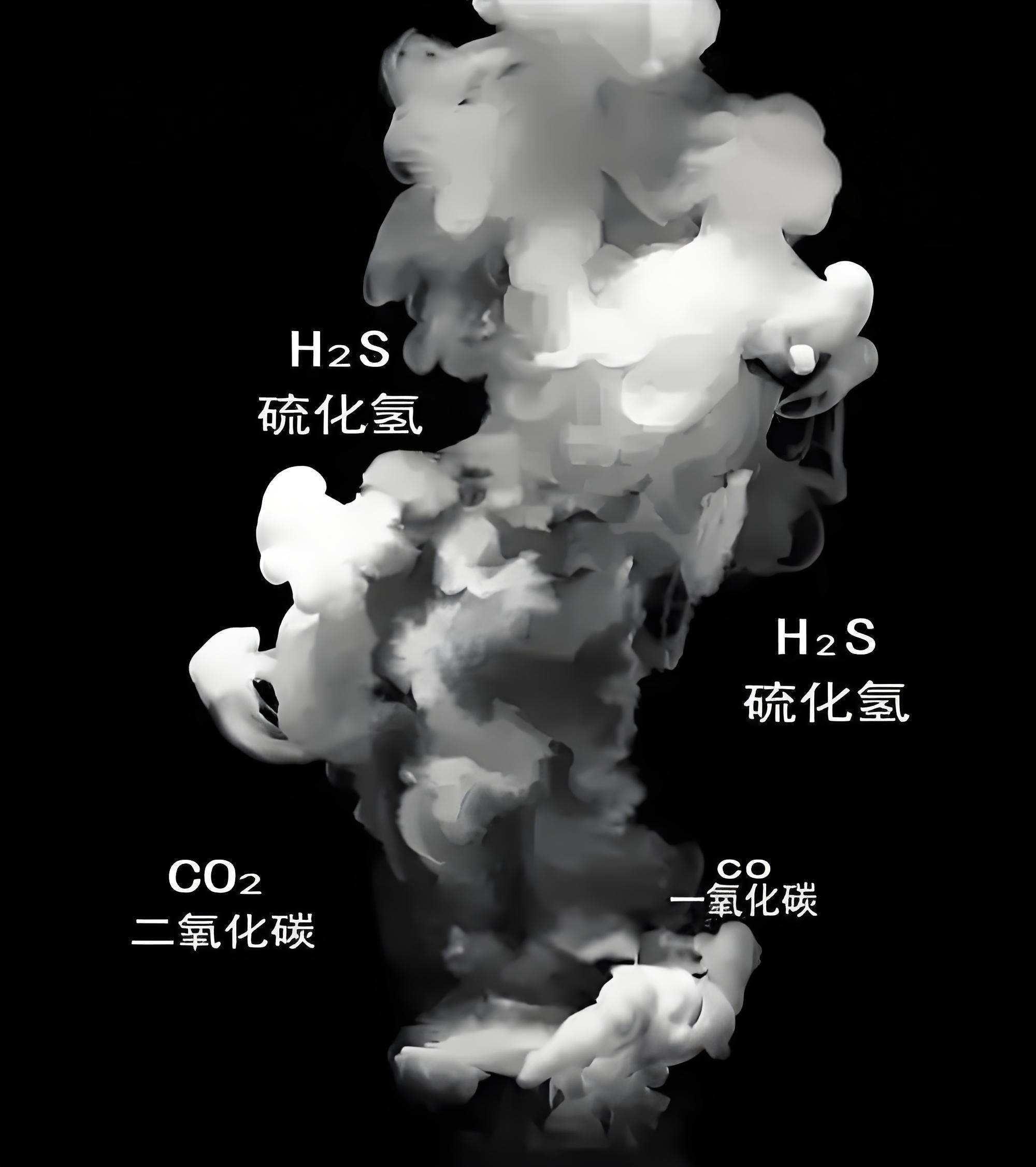 有毒氣體檢測(cè)儀一般使用場(chǎng)景有哪些